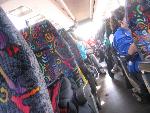 Thumbnail Image, Click to Enlarge thumb_IMG_3545.JPG